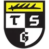 Logo TSG Balingen