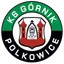 Logo KS Górnik Polkowice