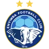 Logo Enyimba