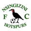 Logo Nsingizini Hotspur