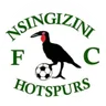 Logo Nsingizini Hotspur