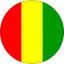 Logo Guinea