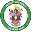 Logo Burgess Hill Town