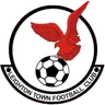 Logo Leighton Town