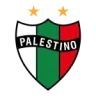 Logo Palestino