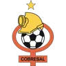 Logo Cobresal