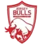 Logo Jersey Bulls FC