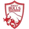 Logo Jersey Bulls FC