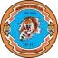 Logo Medina United FC