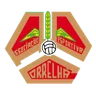 Logo ADC Correlhã
