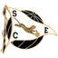Logo SC Espinho