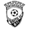 Logo Brito SC