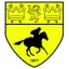 Logo Newmarket Town