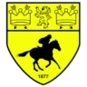 Logo Newmarket Town
