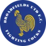 Logo Broadfields United