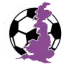 Logo AFC Stoneham