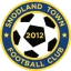 Logo Snodland Town