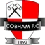 Logo Cobham FC