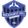 Logo Buckhurst Hill