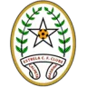 Logo Estrela Calheta FC