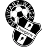 Logo Schwarz-Weiß Bregenz