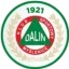 Logo Dalin Myślenice