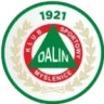 Logo Dalin Myślenice