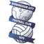Logo Birmingham