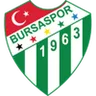 Logo Bursaspor