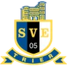 Logo Eintracht Trier
