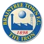 Logo Braintree