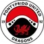 Logo Pontypridd Town