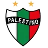 Logo Palestino
