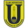 Logo Universidad de Concepcion