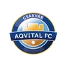 Logo Csakvar