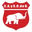 Logo Defensores de Belgrano VR