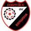 Logo Belshina
