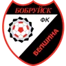 Logo Belshina