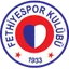 Logo Fethiyespor