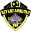 Logo Beykoz Anadolu