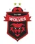 Logo Wollongong Wolves