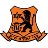 Logo Bnei Yehuda