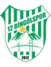 Logo 12 Bingölspor