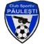 Logo Păuleşti