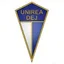 Logo Unirea Dej