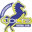 Logo Cumbernauld Colts