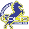 Logo Cumbernauld Colts