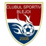 Logo Blejoi
