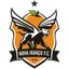 Logo Nova Iguaçu