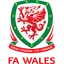 Logo Wales U21